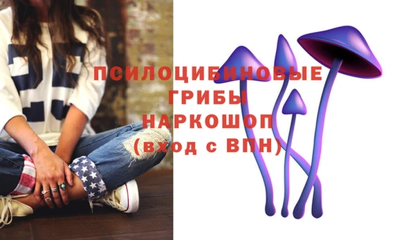 шишки Баксан