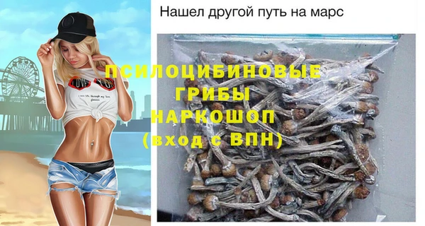 apvp Балахна