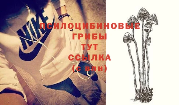 apvp Балахна