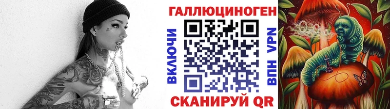 Галлюциногенные грибы Psilocybe  Зеленоградск 